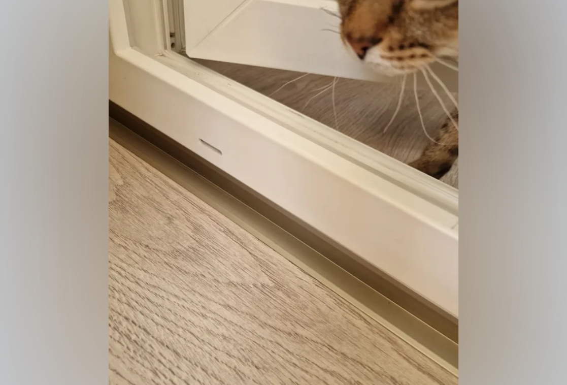 УВО 18-27.2700.052 20*20 Ель дымчатая